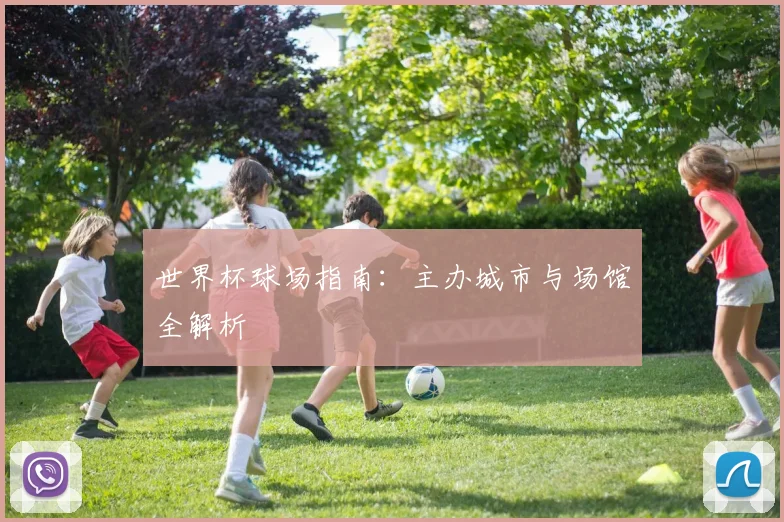 世界杯球场指南:主办城市与场馆全解析